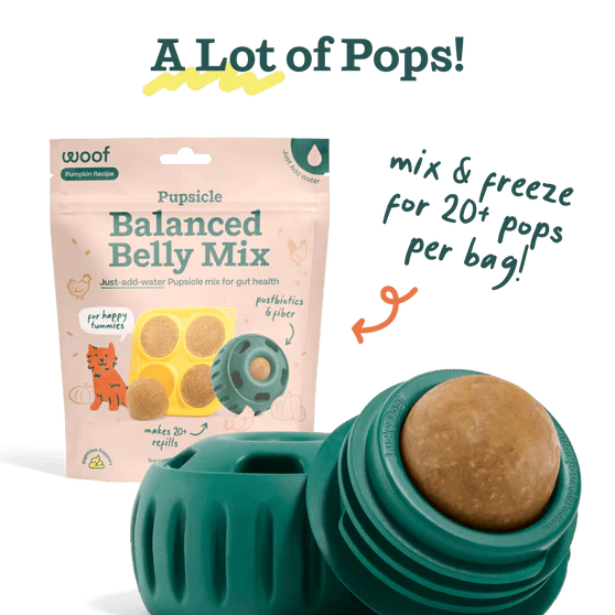 Woof Balanced Belly Pupsicle Mix - Image 2