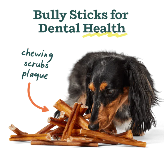 Woof The BullySafe Chew Stick - Image 2