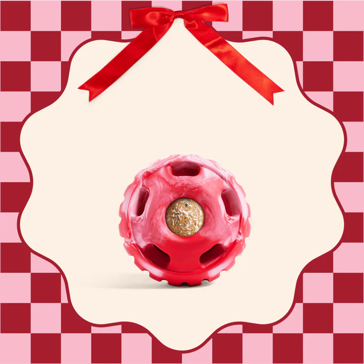 Woof The Pupsicle Dog Toy - Image 4