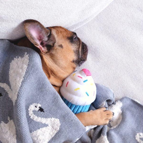 ZippyPaws Blue Cupcake Plush Dog Toy - Image 2