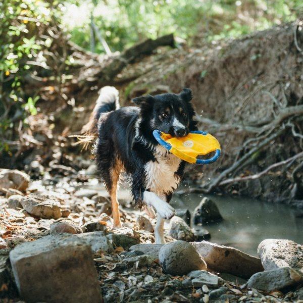 ZippyPaws Rope Gliderz Dog Toy - Image 6
