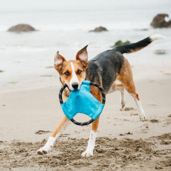 ZippyPaws Rope Gliderz Dog Toy - Image 7